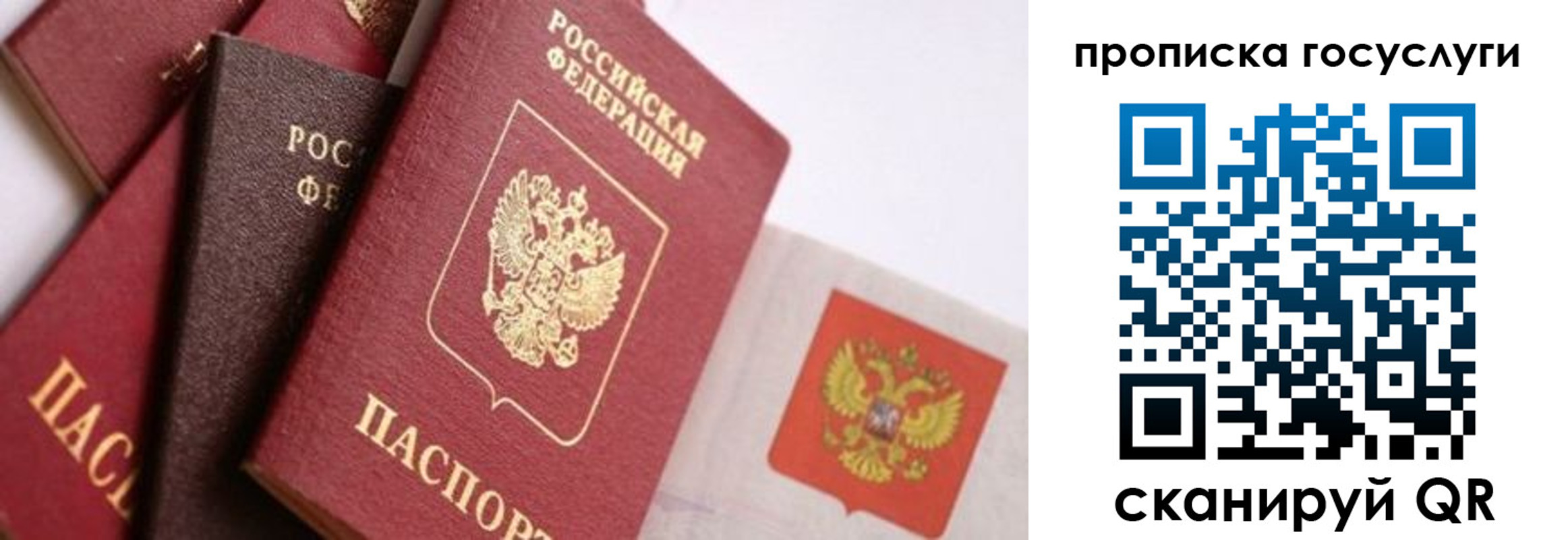 прописка законно в Сарапуле